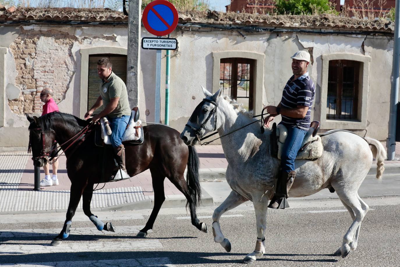 Encierro campero en Tudela de Duero