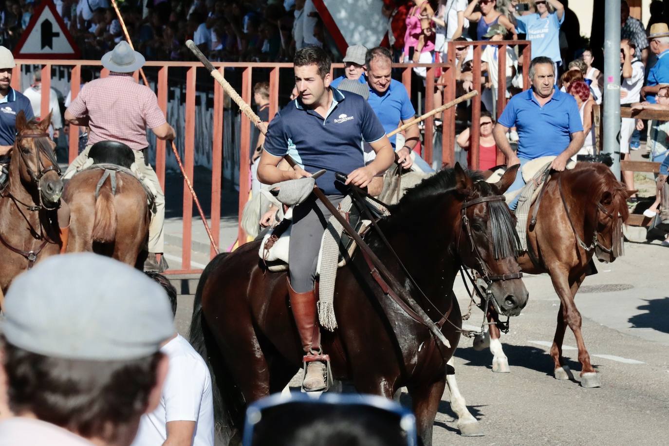 Encierro campero en Tudela de Duero