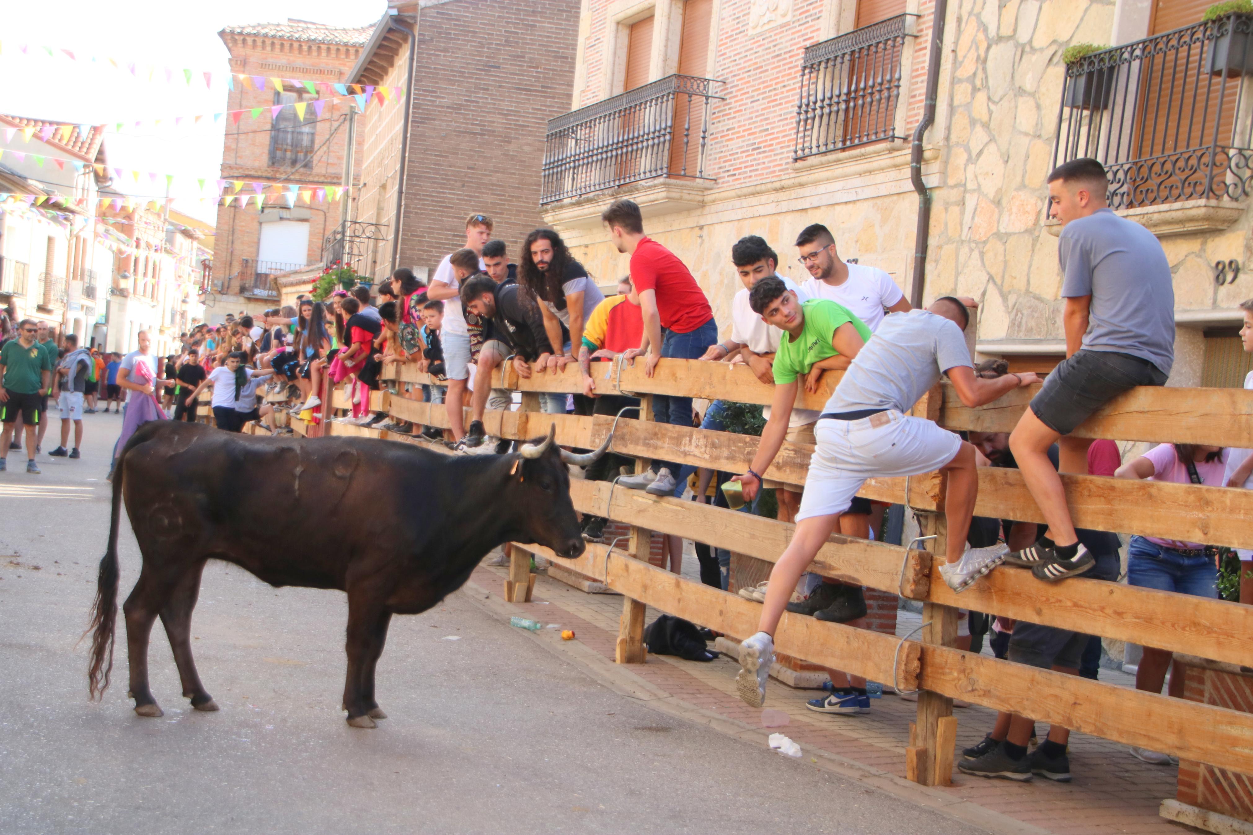 Torquemada, fiel a sus encierros tradicionales