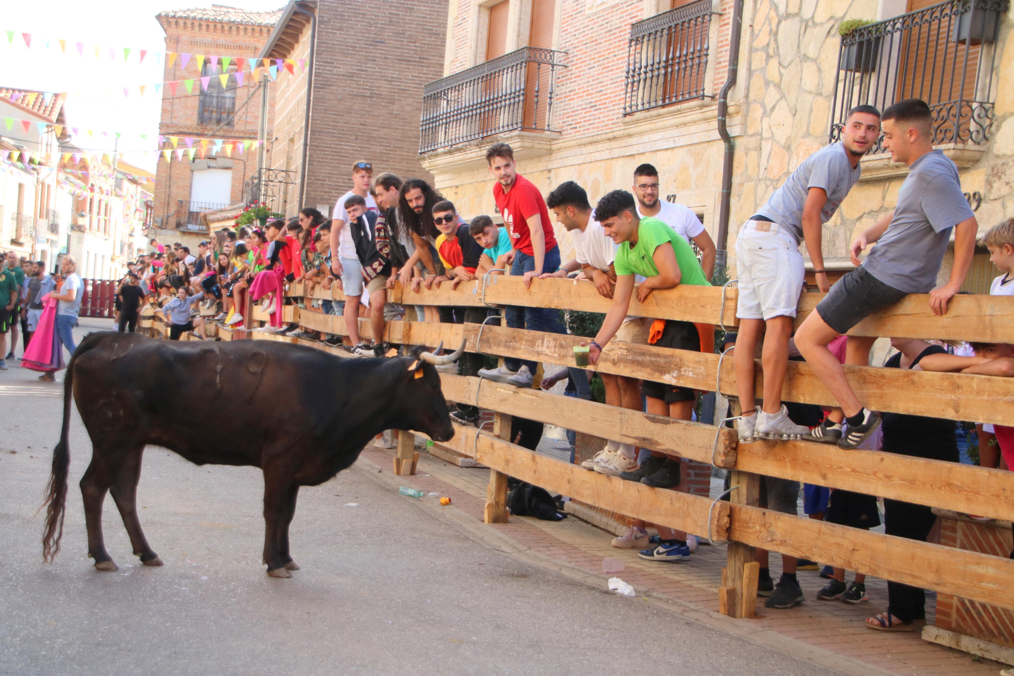 Torquemada, fiel a sus encierros tradicionales