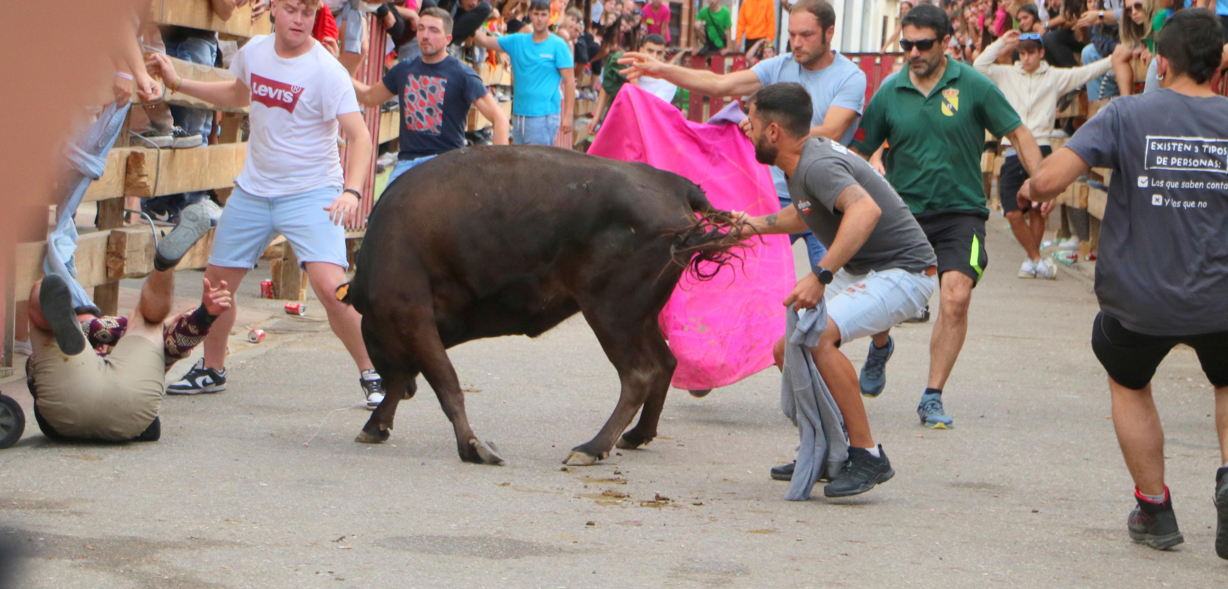 Torquemada, fiel a sus encierros tradicionales