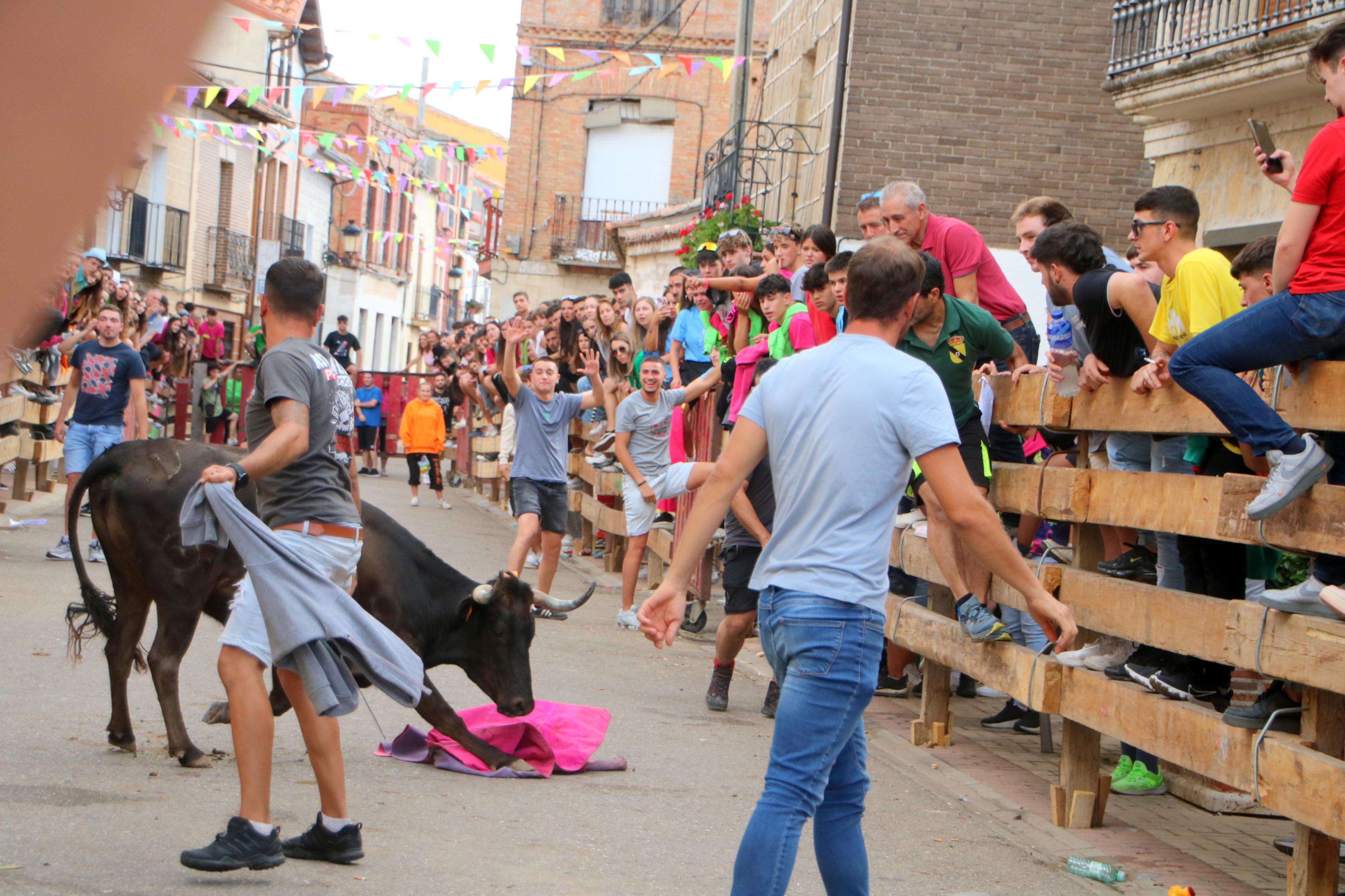 Torquemada, fiel a sus encierros tradicionales