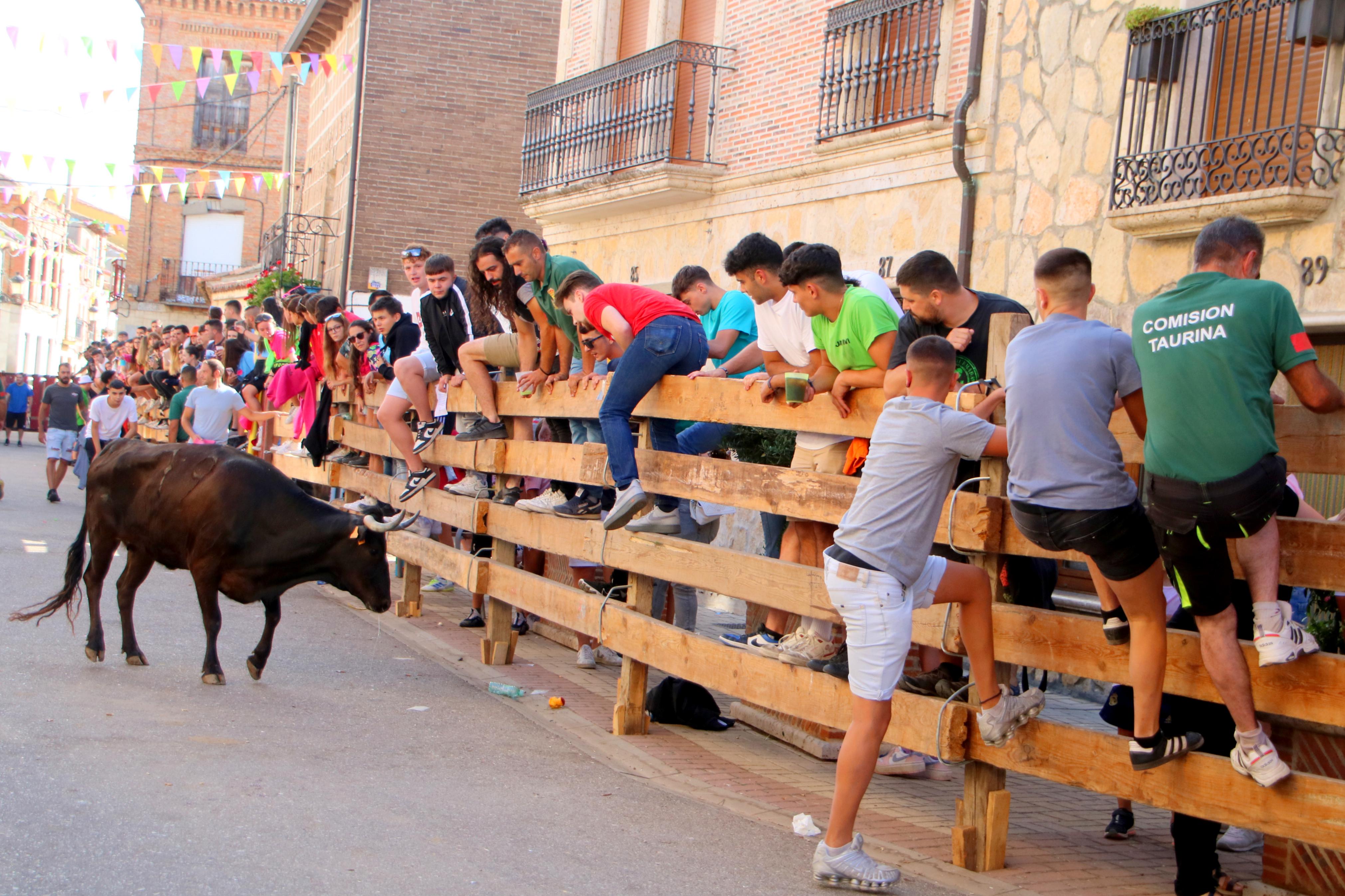 Torquemada, fiel a sus encierros tradicionales