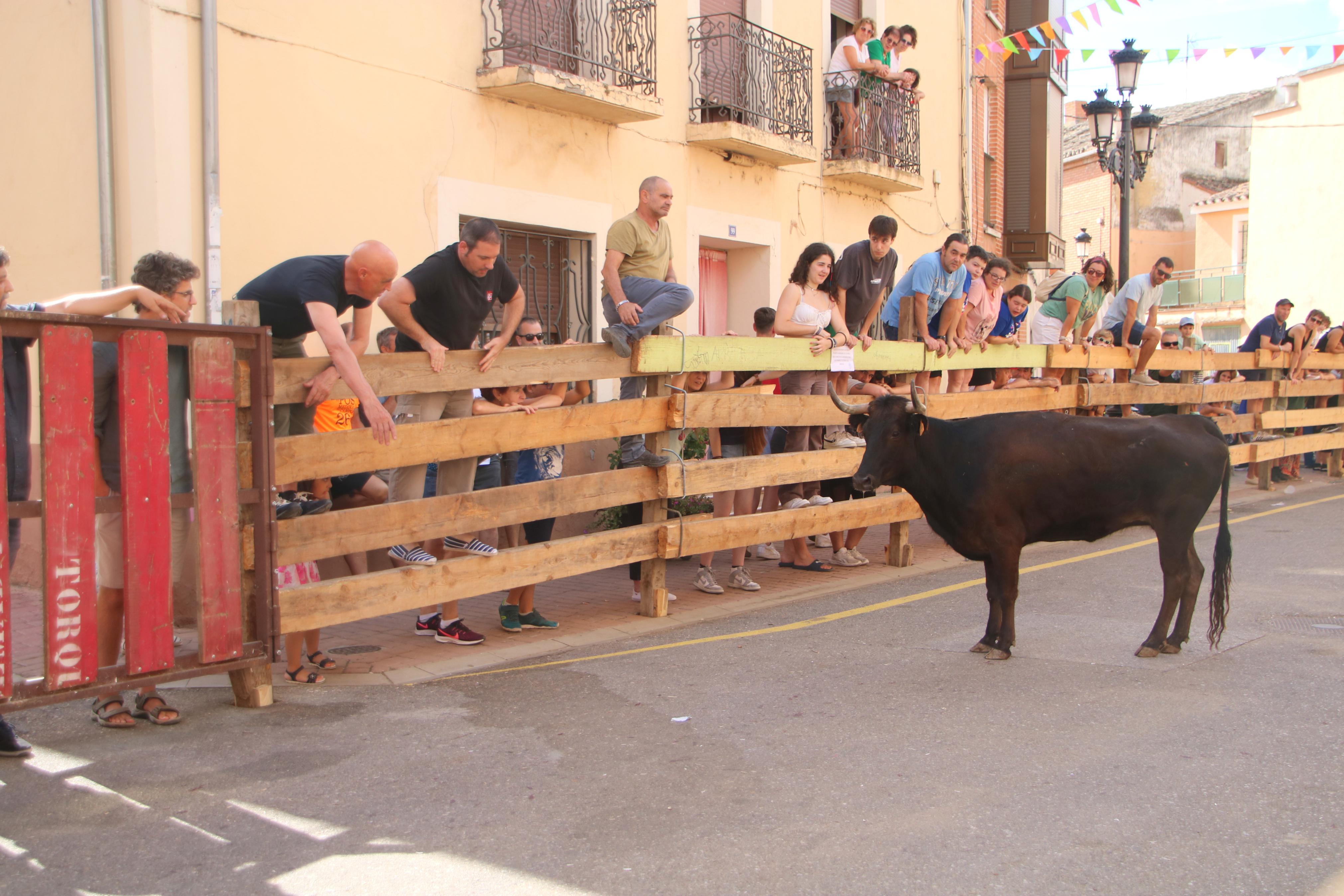 Torquemada, fiel a sus encierros tradicionales