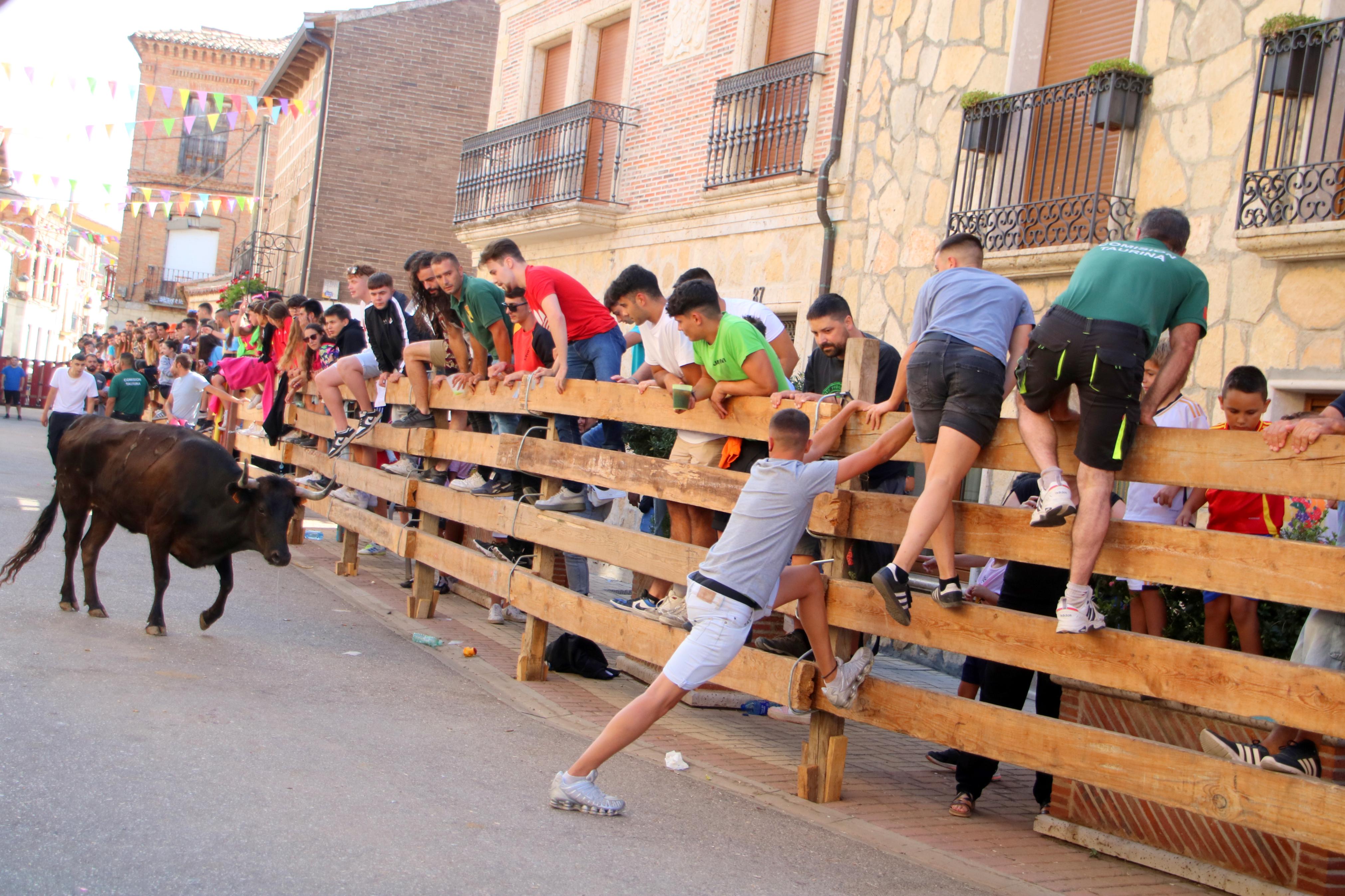 Torquemada, fiel a sus encierros tradicionales