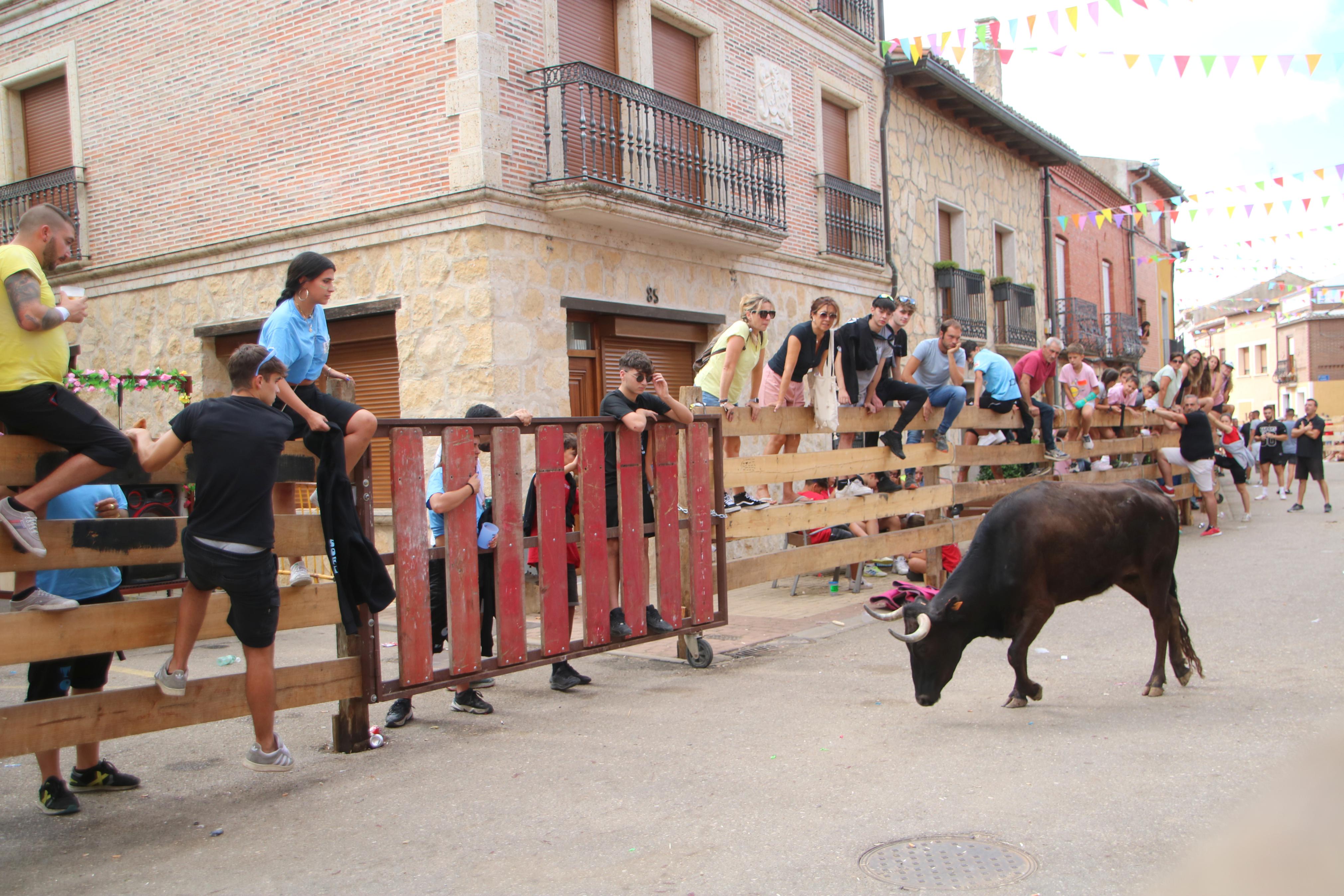 Torquemada, fiel a sus encierros tradicionales