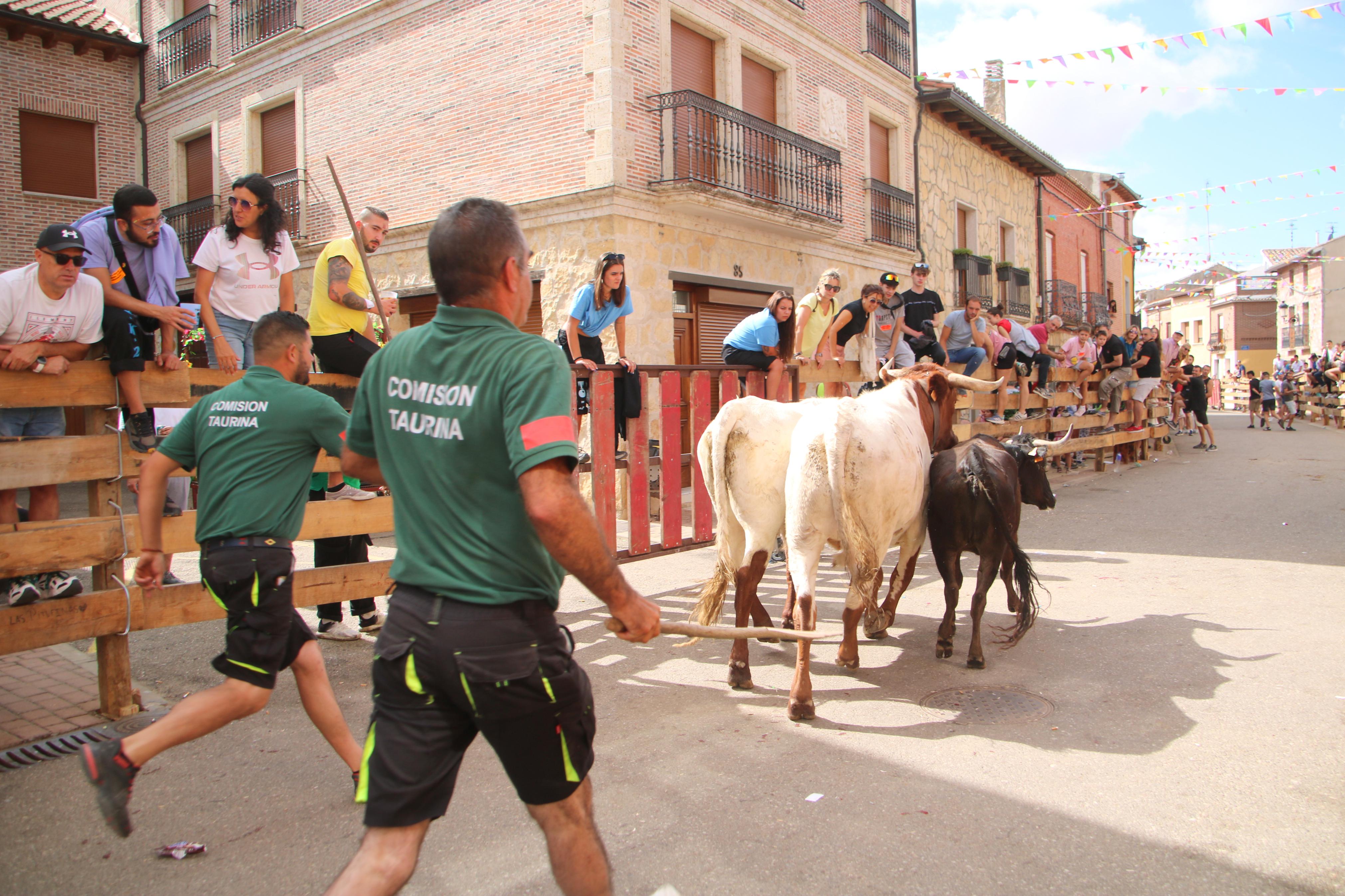 Torquemada, fiel a sus encierros tradicionales