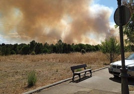 Imagen del incendio en Castrillo de los Polvazares.