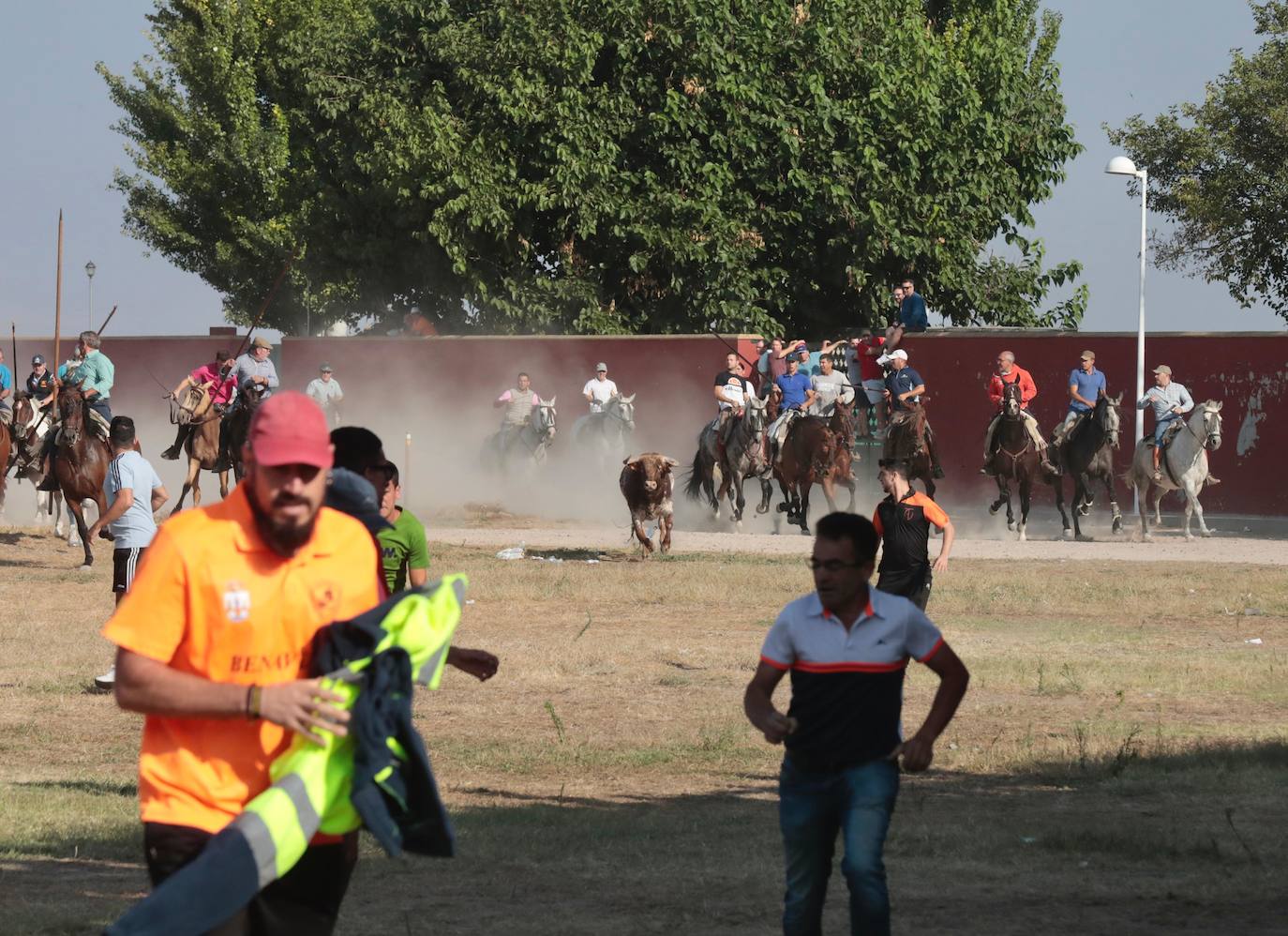 Encierro del lunes en Aldeamayor de San Martín