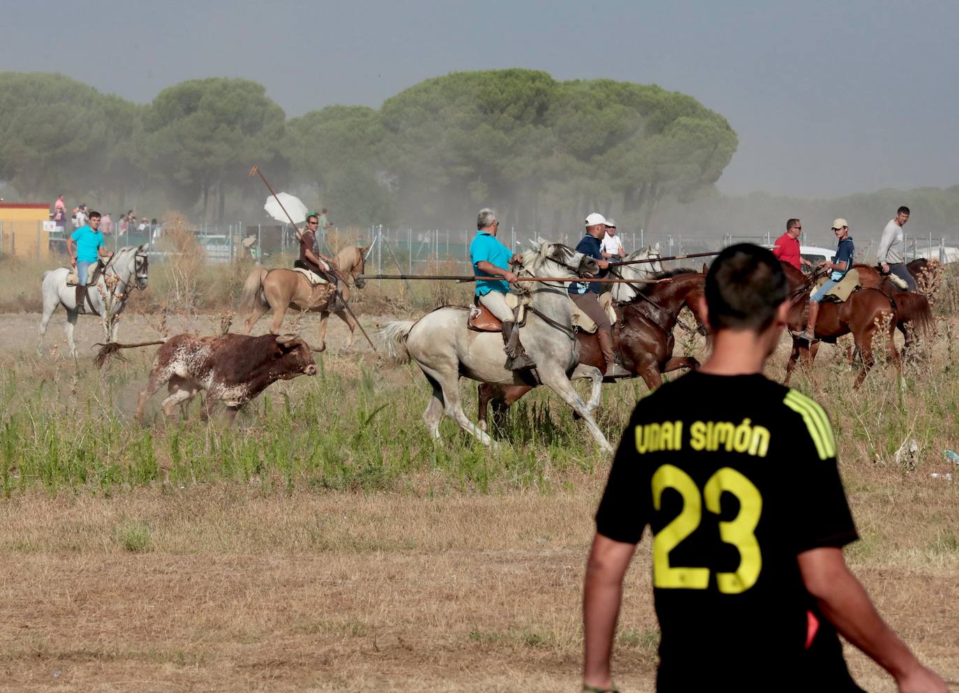 Encierro del lunes en Aldeamayor de San Martín