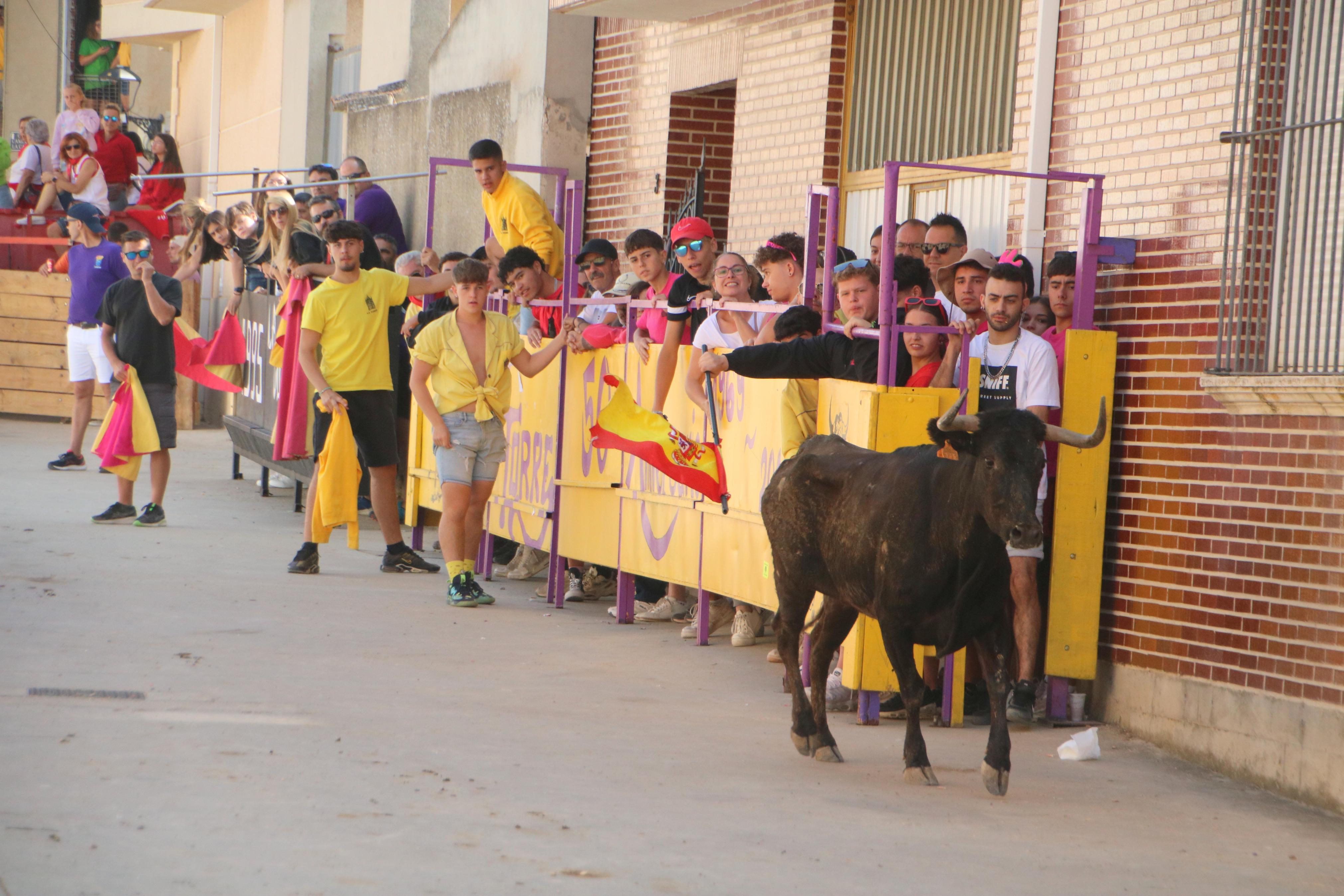 Dueñas celebra sus encierros tradicionales
