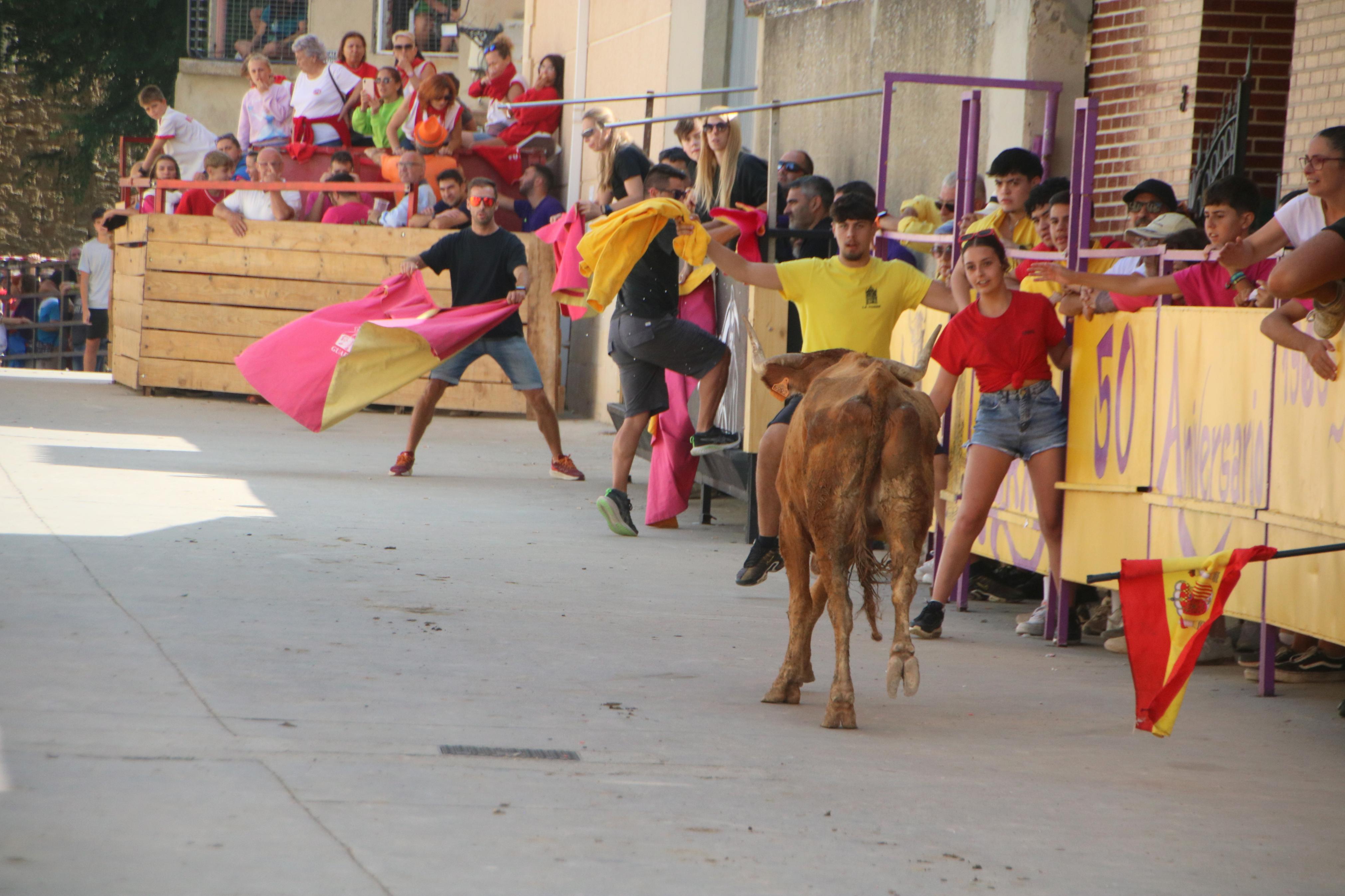 Dueñas celebra sus encierros tradicionales