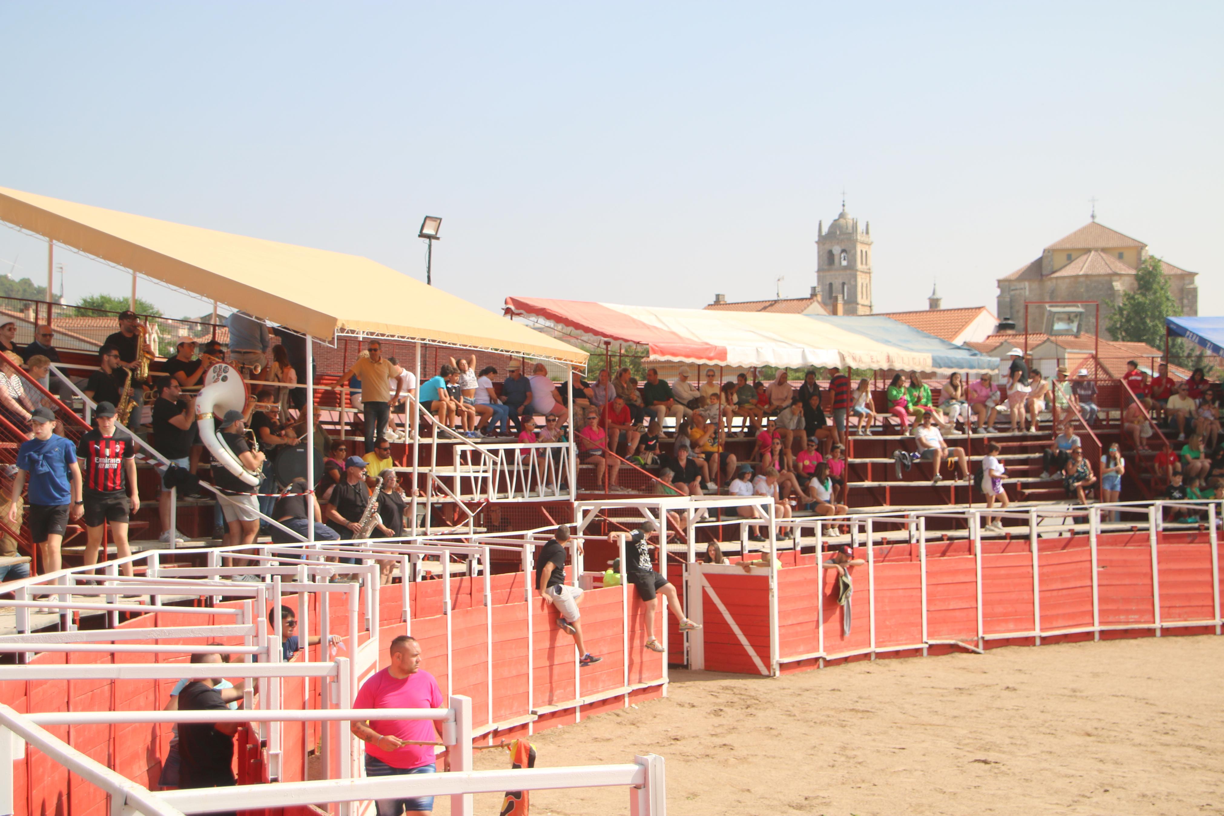 Dueñas celebra sus encierros tradicionales