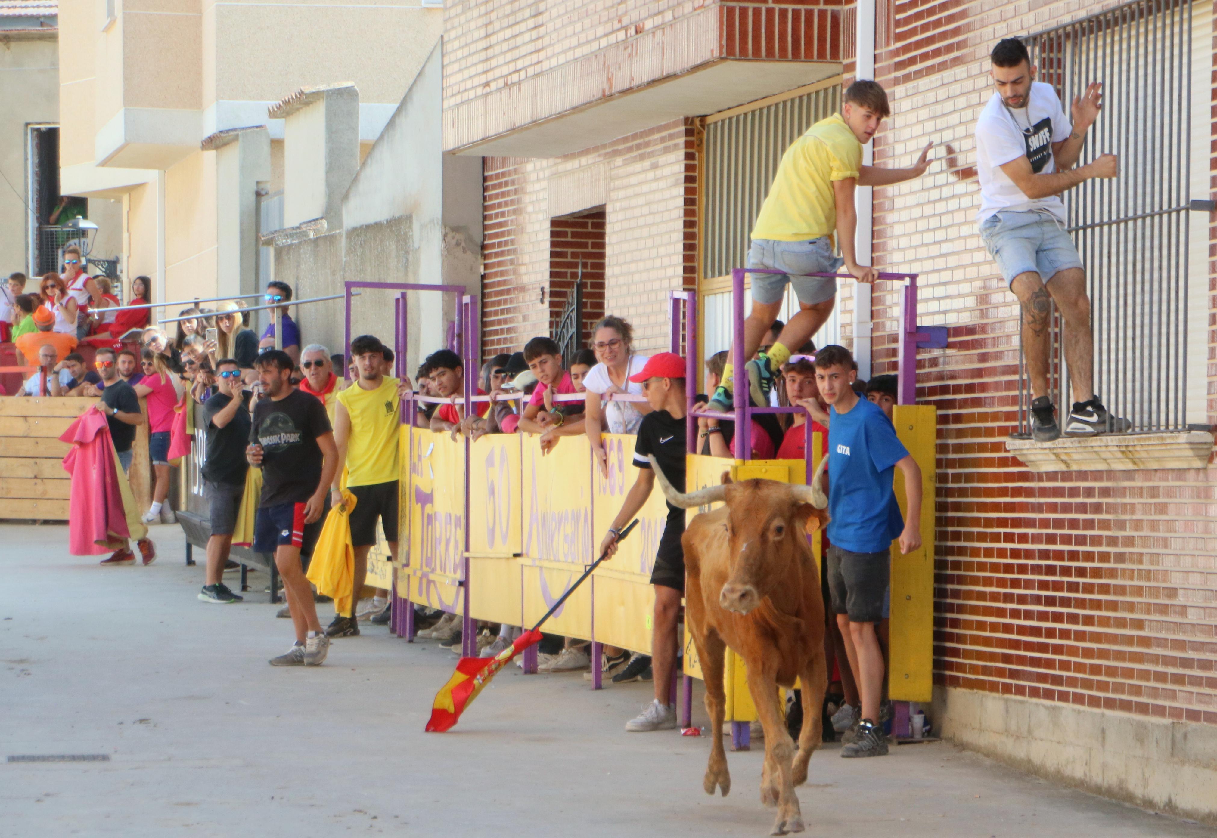 Dueñas celebra sus encierros tradicionales