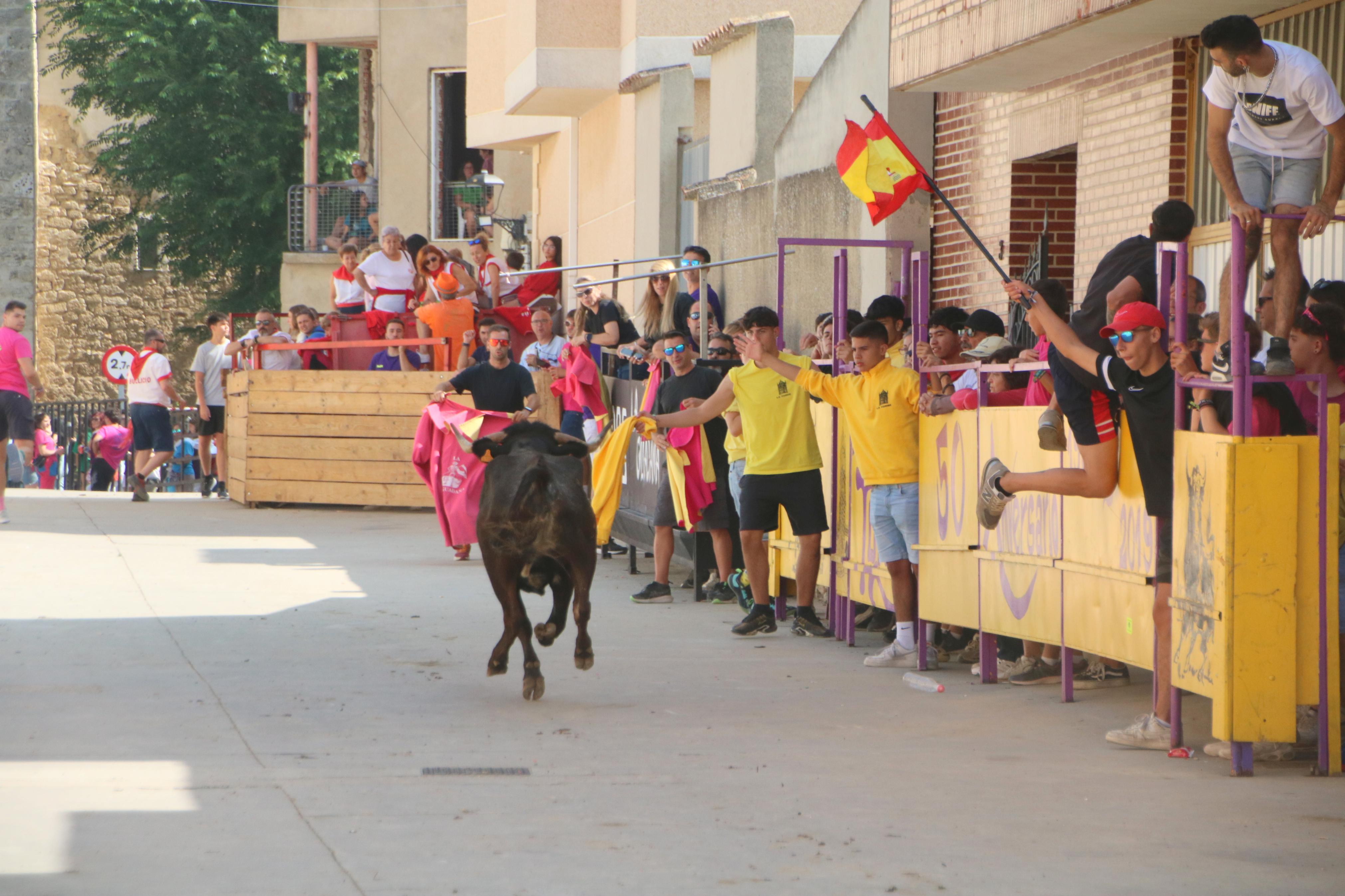 Dueñas celebra sus encierros tradicionales