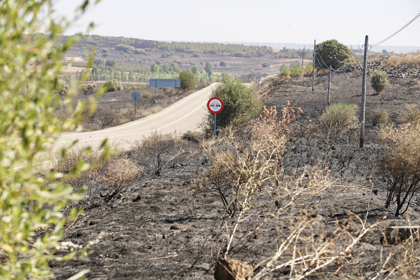 El incendio forestal de Castrillo de los Polvazares baja a nivel 1