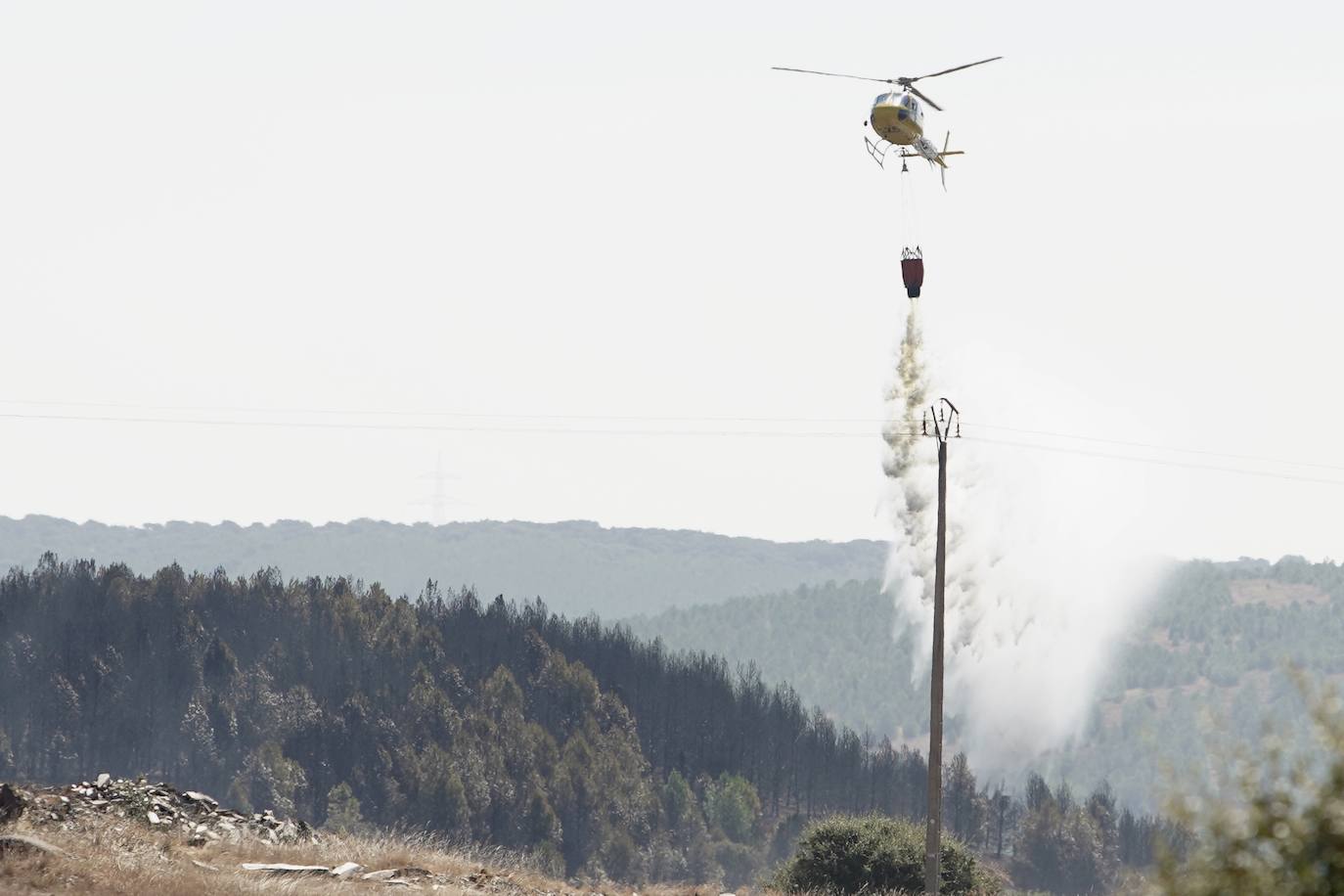 El incendio forestal de Castrillo de los Polvazares baja a nivel 1