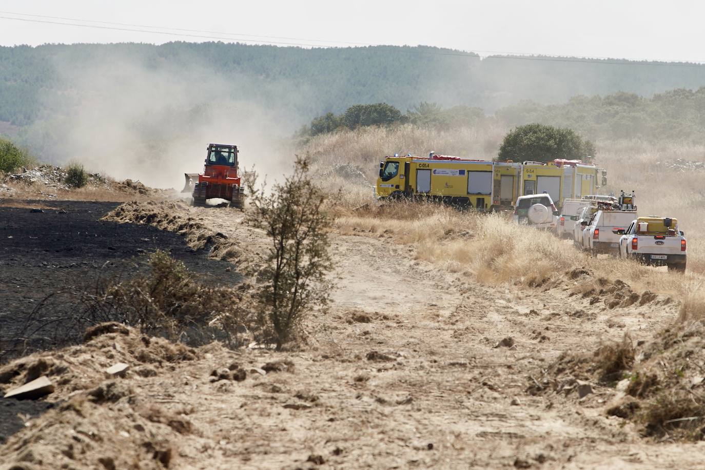 El incendio forestal de Castrillo de los Polvazares baja a nivel 1