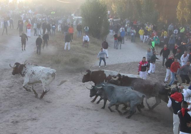 Encierro en Cuéllar.