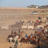 Programa de las fiestas de Cuéllar 2024