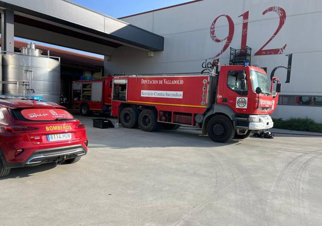 Los bomberos, en la bodega durante la intervención.