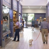 Los mercados de Valladolid en la encrucijada: taquillas refrigeradas y más oferta para revivir