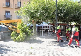 La rama del árbol enganchada a la plataforma elevadora cae al suelo tras cortarla los bomberos.