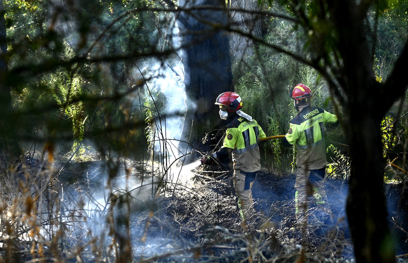 Los Bomberos sofocan dos incendios este viernes en Valladolid