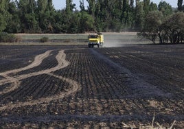 Los servicio medio ambientales, abandona la zona del incendio.