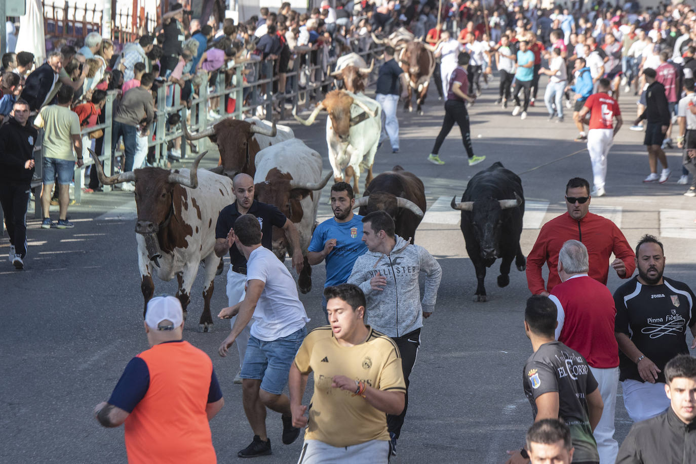 El primer encierro, en imágenes