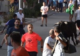 Encierro por las calles de Serrada.