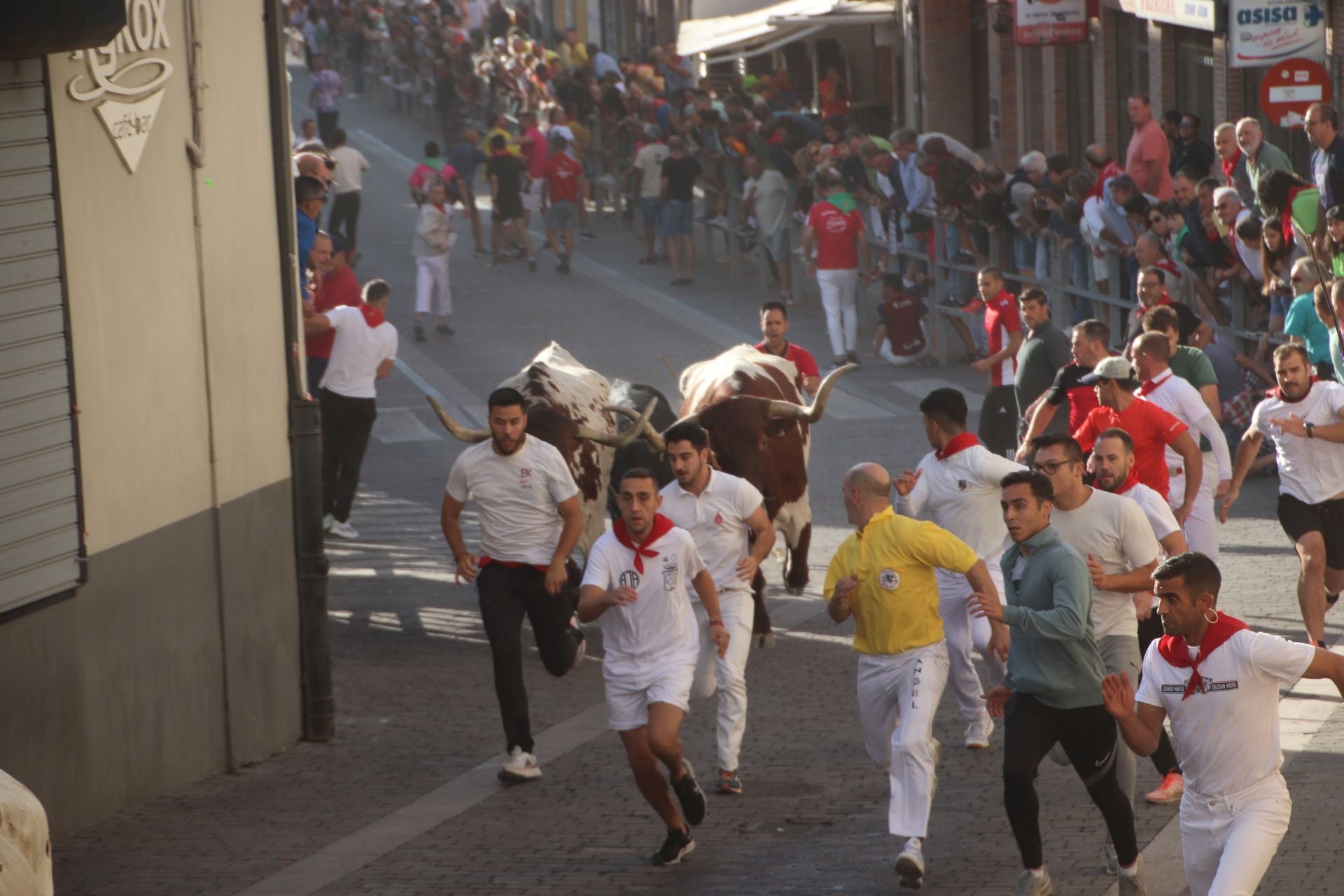 Fotografías del tercer encierro de Cuéllar (3 de 3)