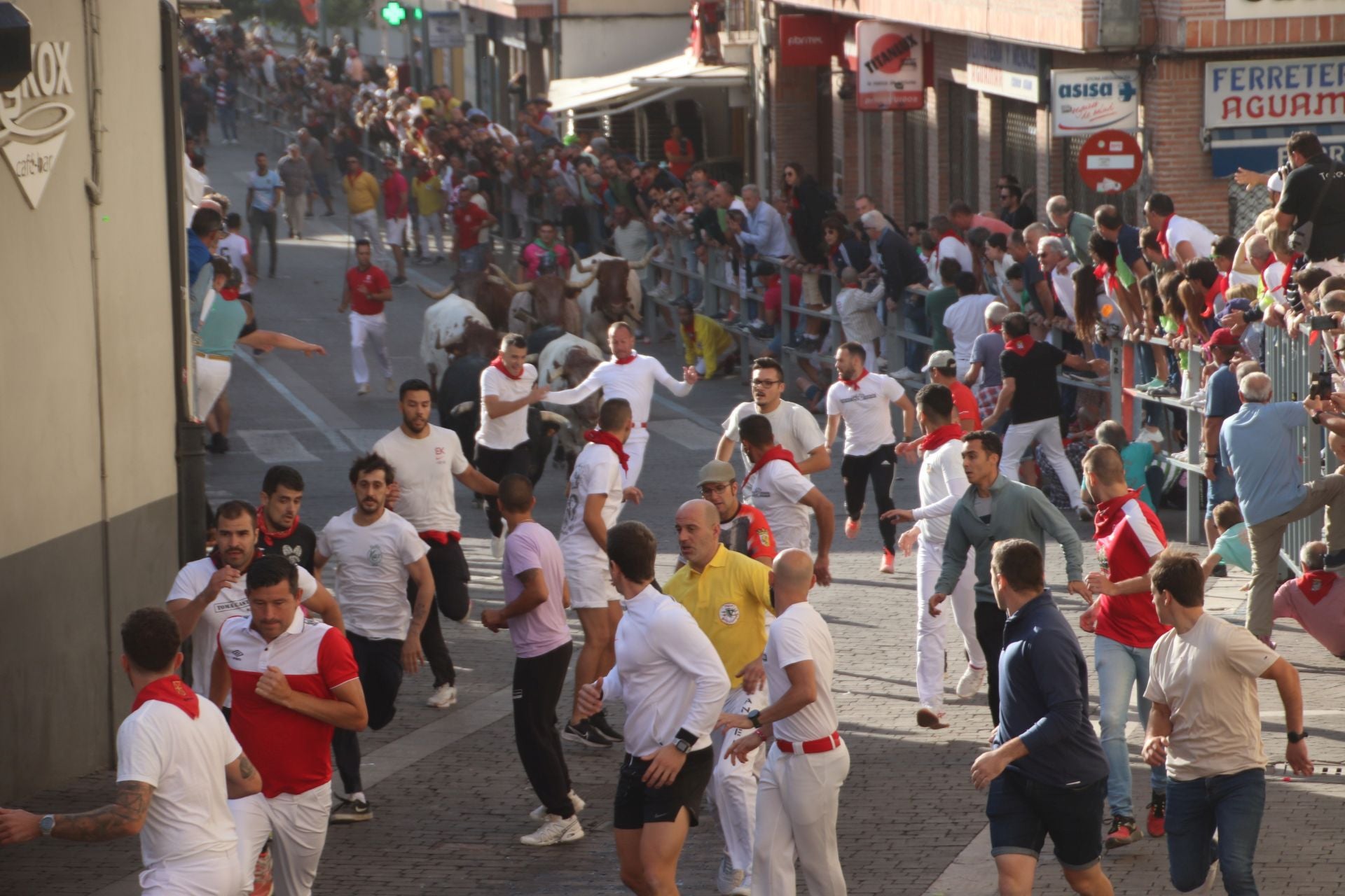 Fotografías del tercer encierro de Cuéllar (3 de 3)