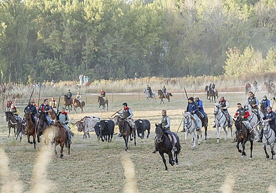 Tercer encierro de Cuéllar, con toros de Romao Tenório