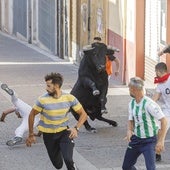 Un herido por asta de toro en un peligroso tercer encierro de Cuéllar