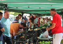 Puesto de La Flor de Castilla en la Feria del Tomate