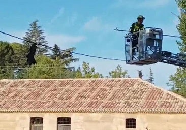 Un pato enredado en aparejos de pesca moviliza a los bomberos de Rioseco