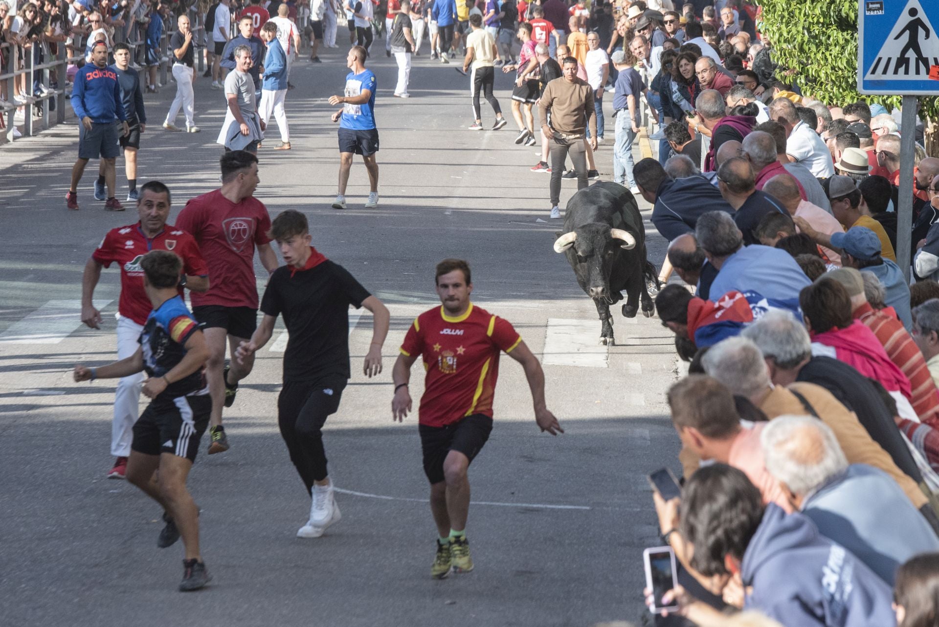 Fotografías del tercer encierro de Cuéllar (1 de 3)