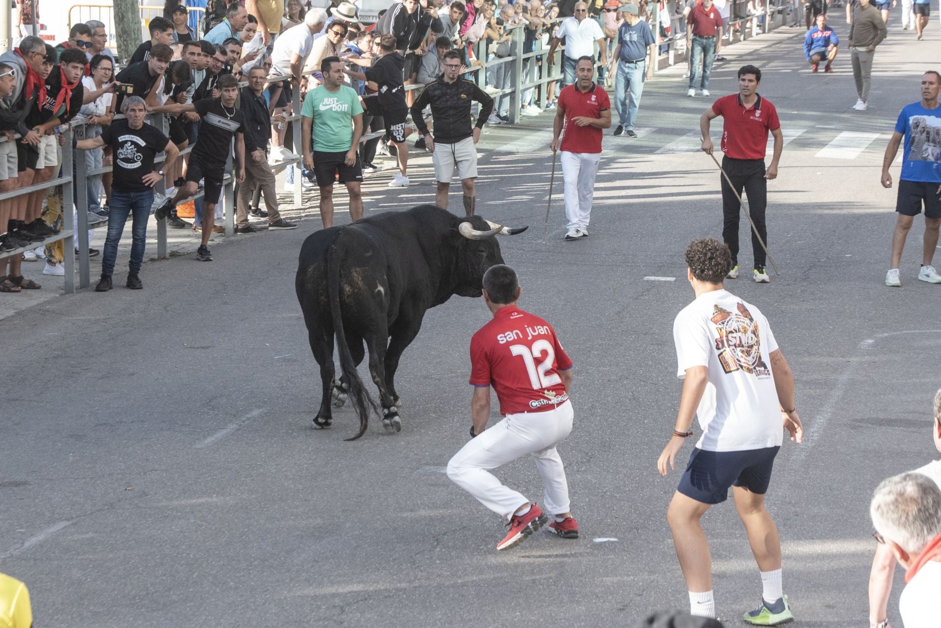 Fotografías del tercer encierro de Cuéllar (1 de 3)