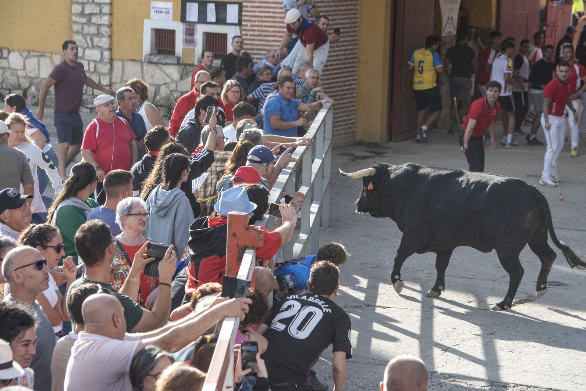 Fotografías del tercer encierro de Cuéllar (1 de 3)