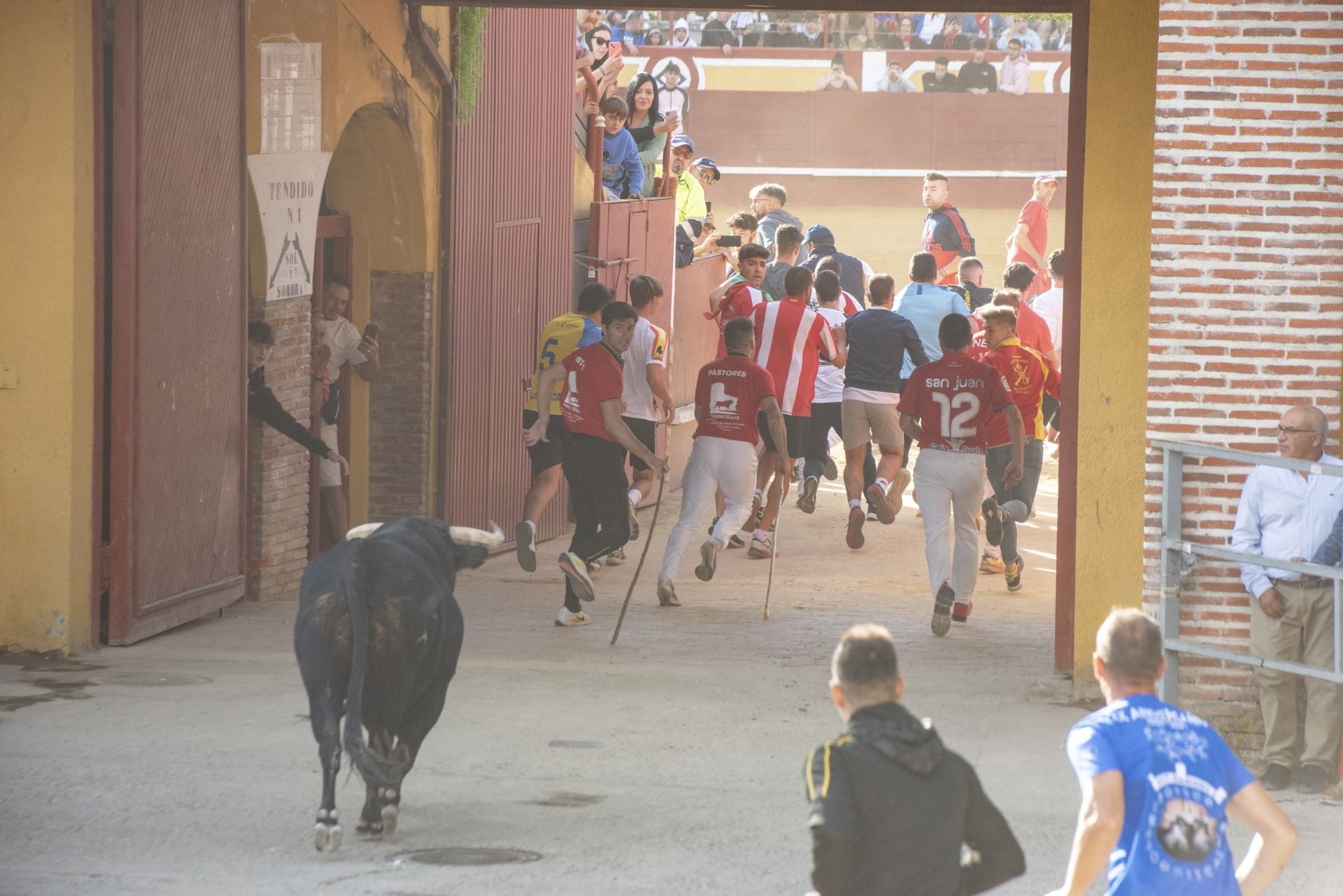 Fotografías del tercer encierro de Cuéllar (1 de 3)