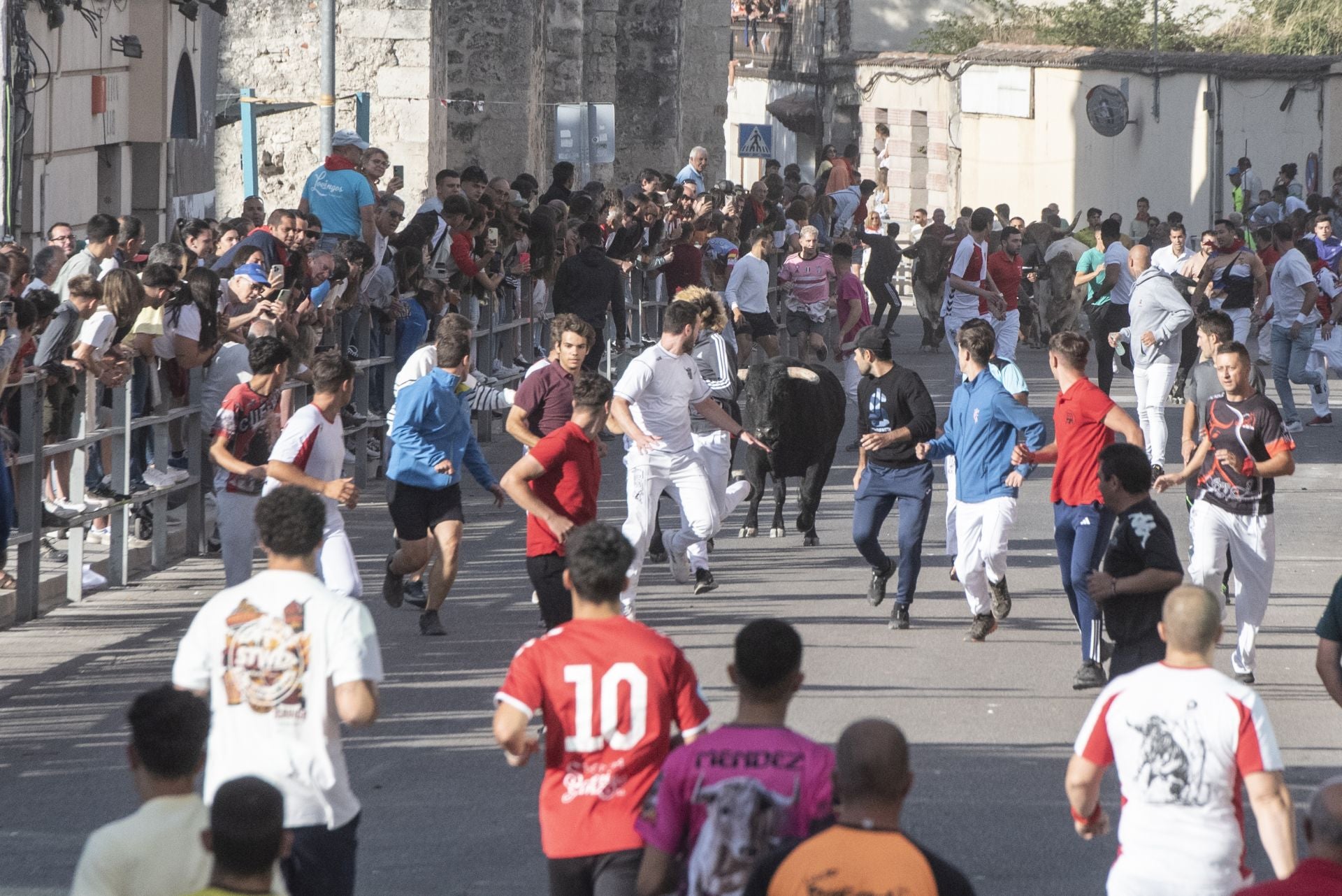 Fotografías del tercer encierro de Cuéllar (1 de 3)