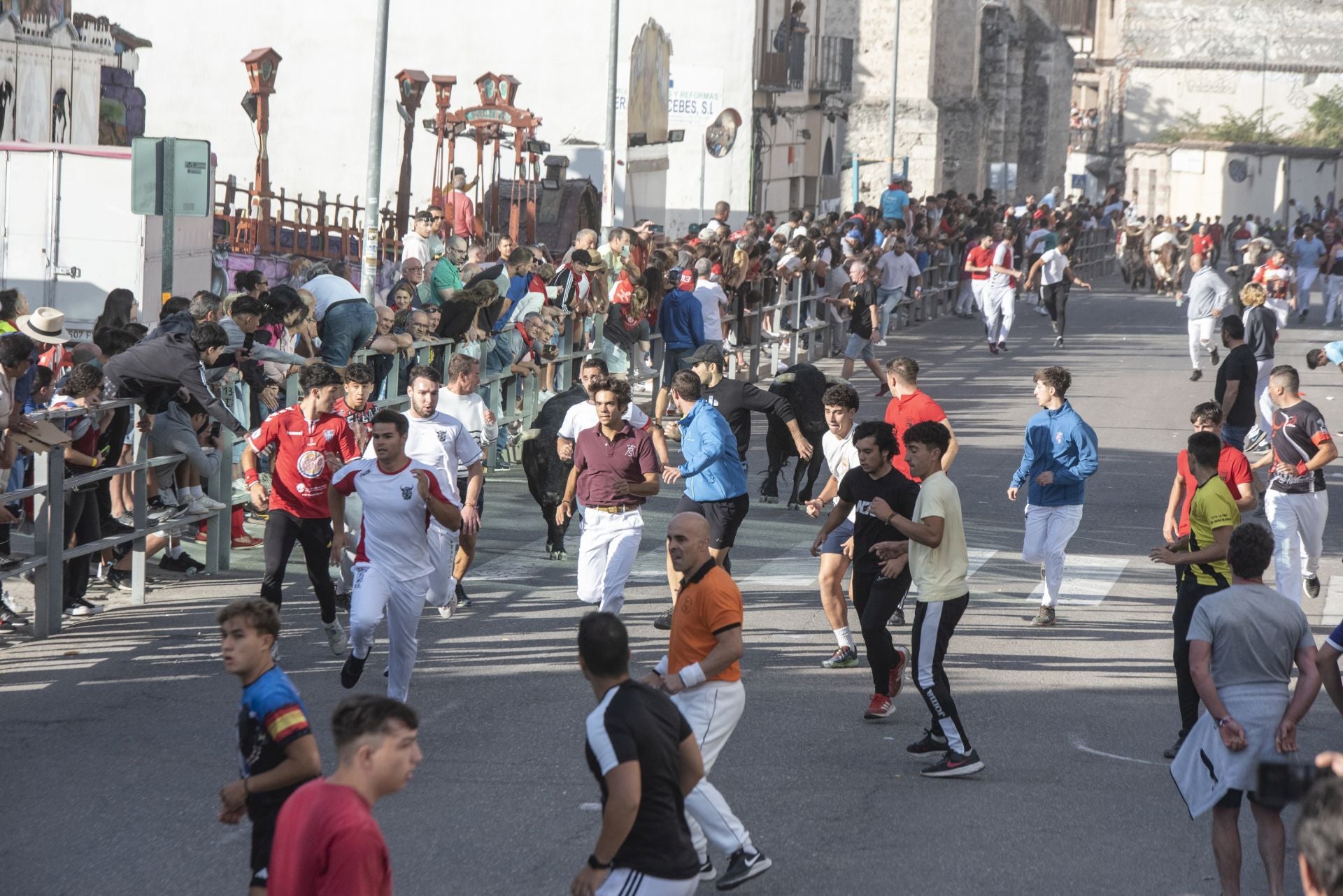 Fotografías del tercer encierro de Cuéllar (1 de 3)