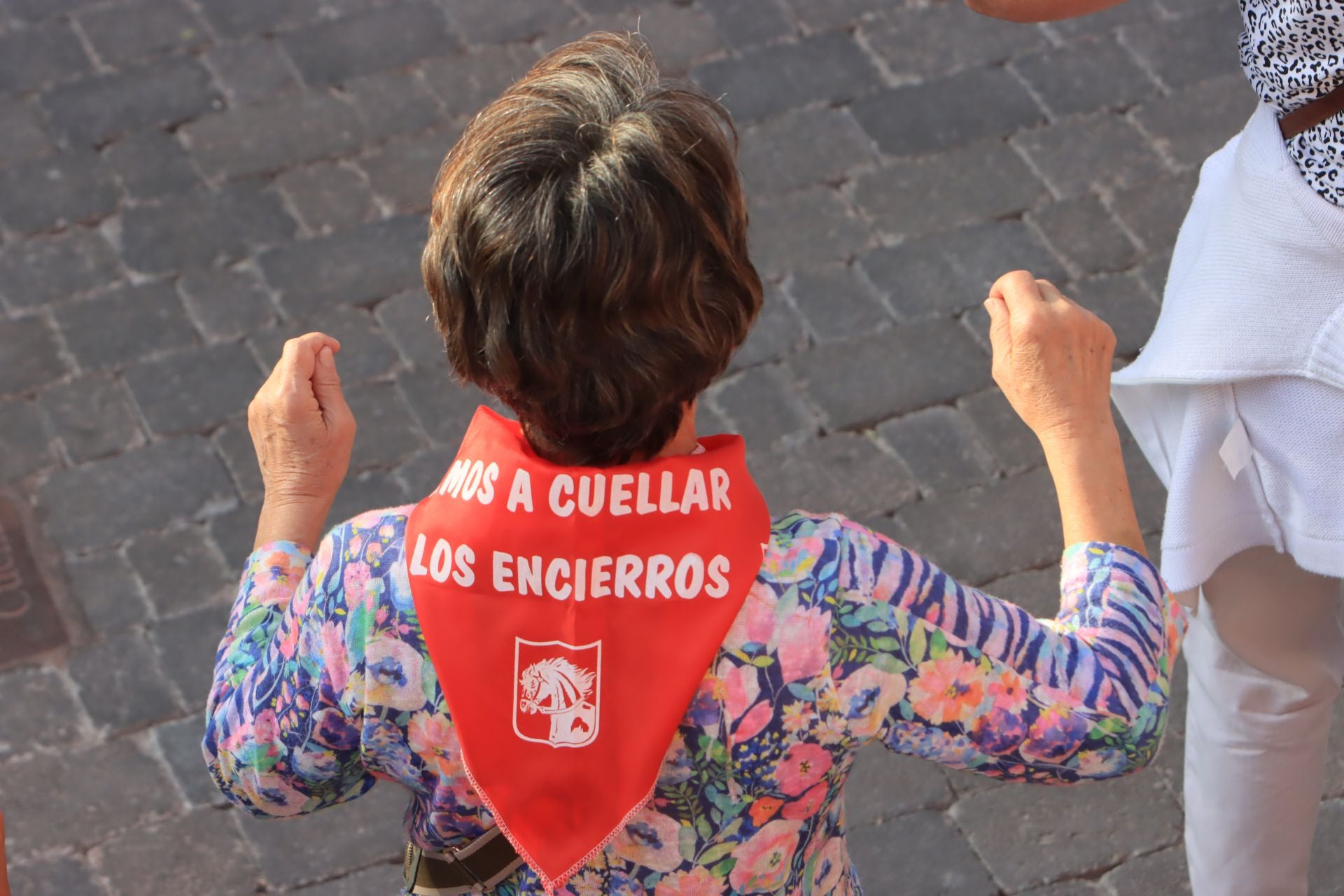 Fotos del cuarto encierro de Cuéllar (1 de 3)