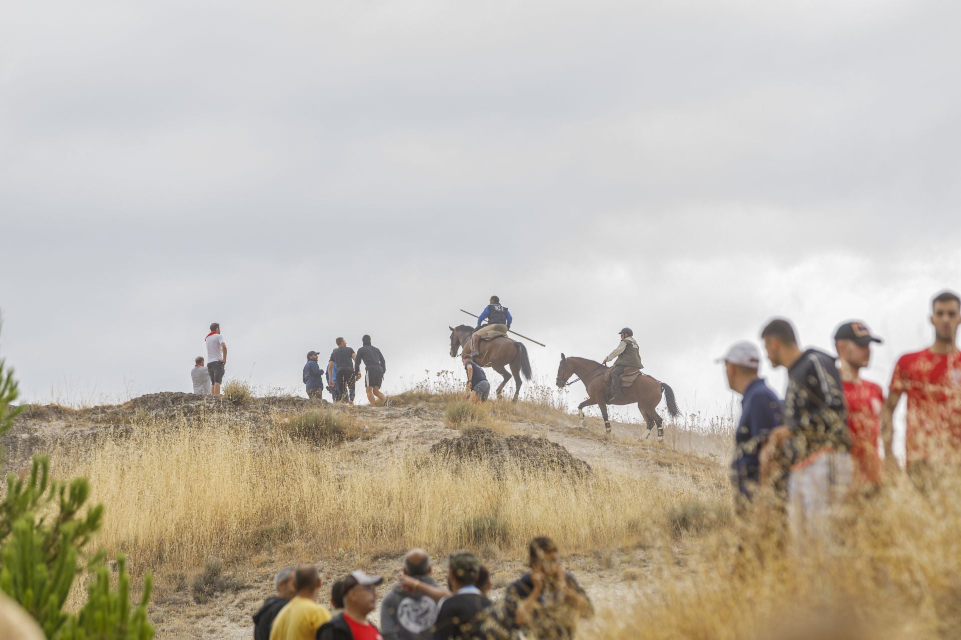 Fotos del quinto y último encierro de Cuéllar (2 de 3)