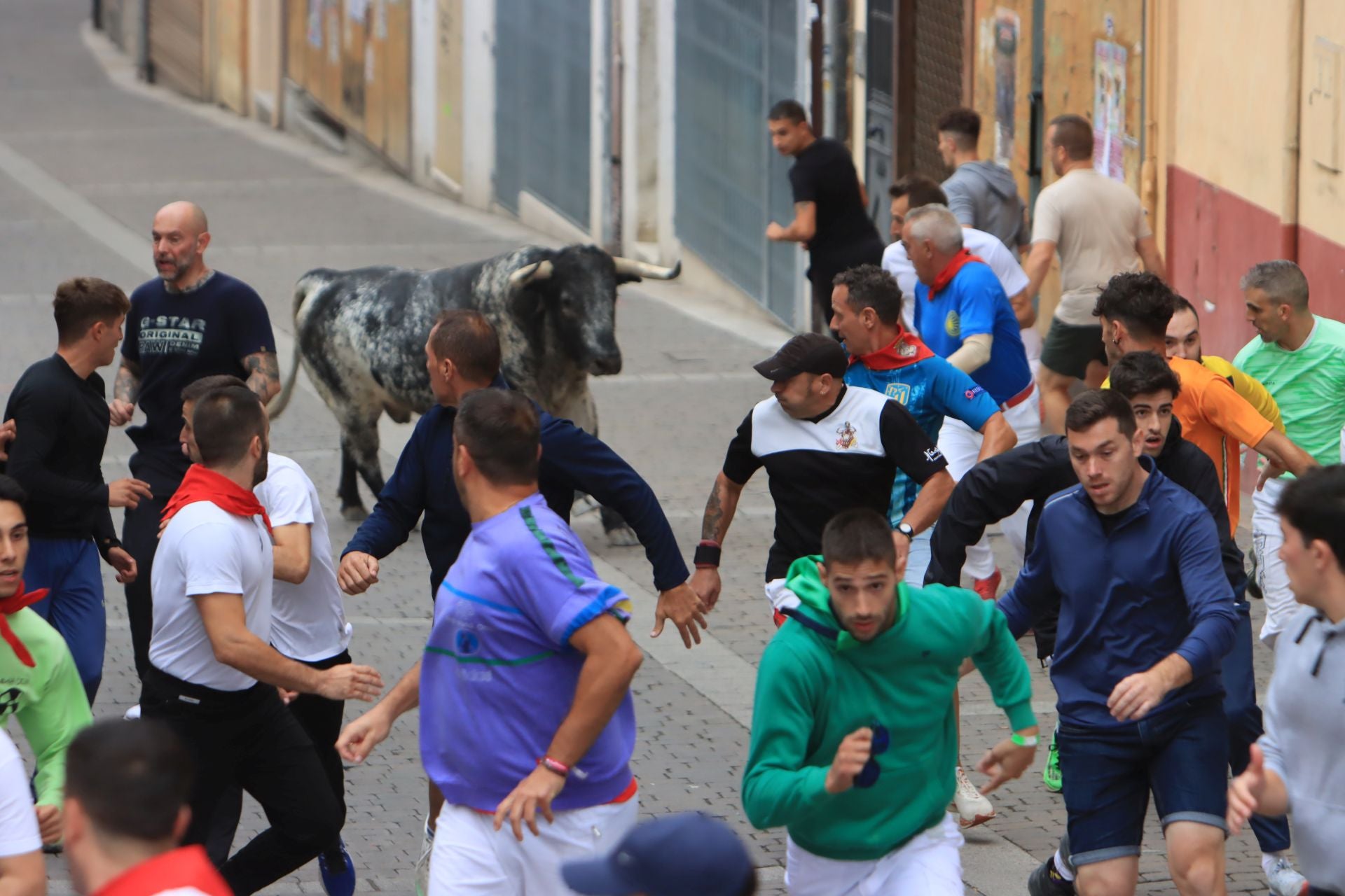 Fotos del quinto y último encierro de Cuéllar (3 de 3)