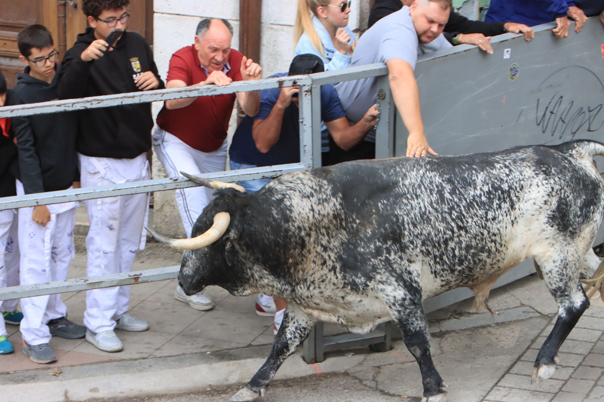 Fotos del quinto y último encierro de Cuéllar (3 de 3)