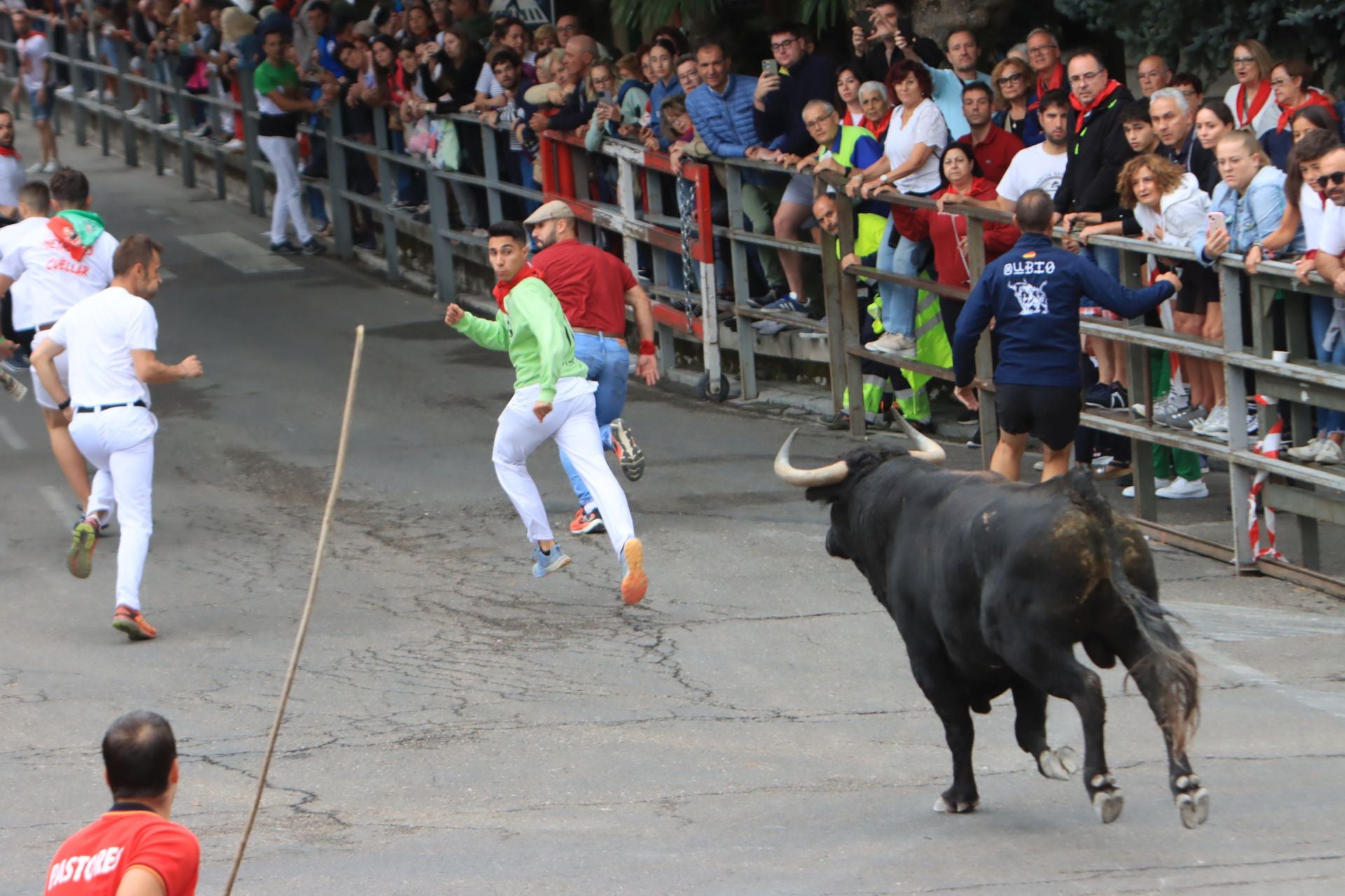 Fotos del quinto y último encierro de Cuéllar (3 de 3)