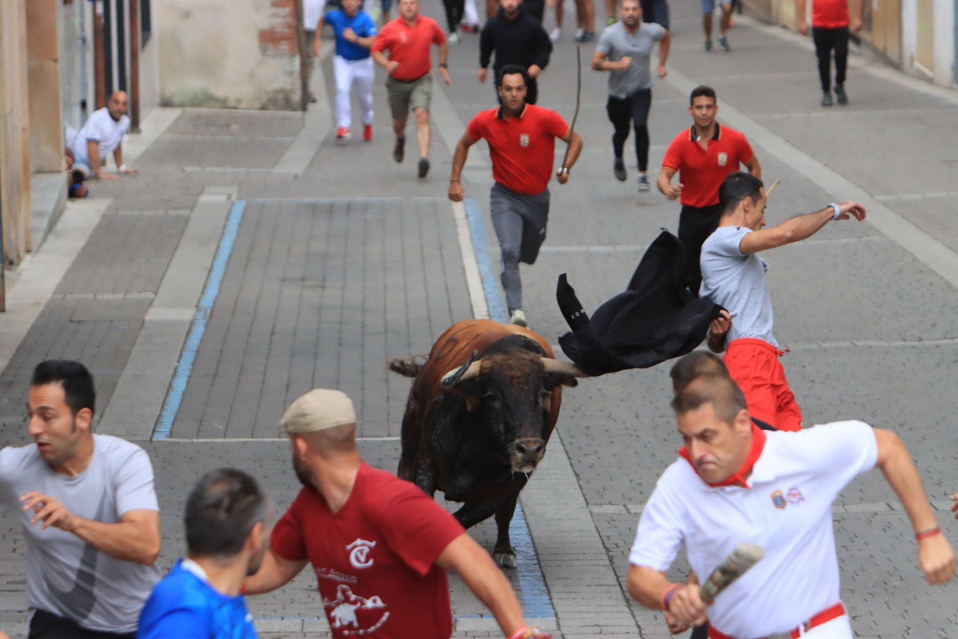 Fotos del quinto y último encierro de Cuéllar (3 de 3)