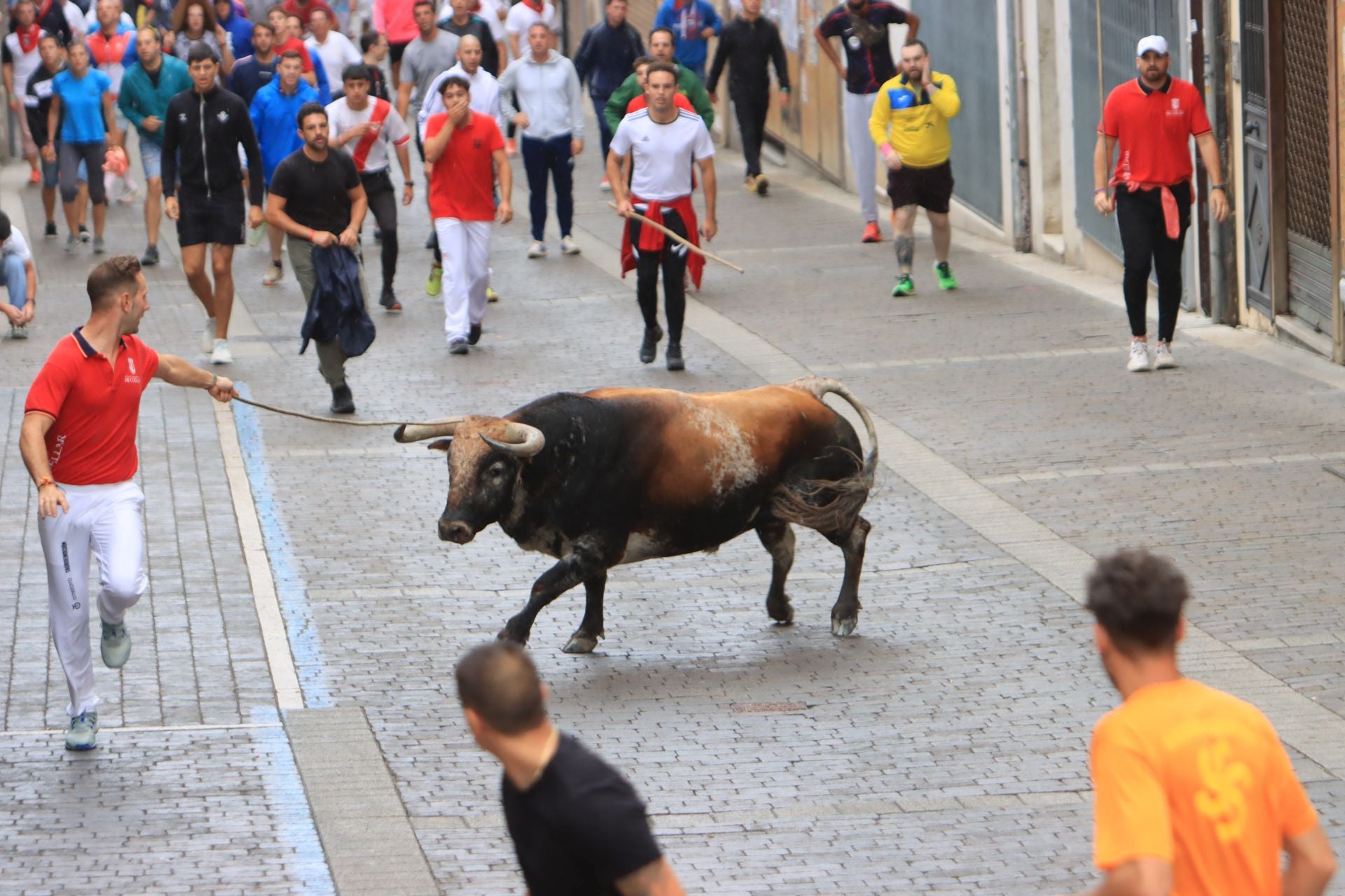 Fotos del quinto y último encierro de Cuéllar (3 de 3)